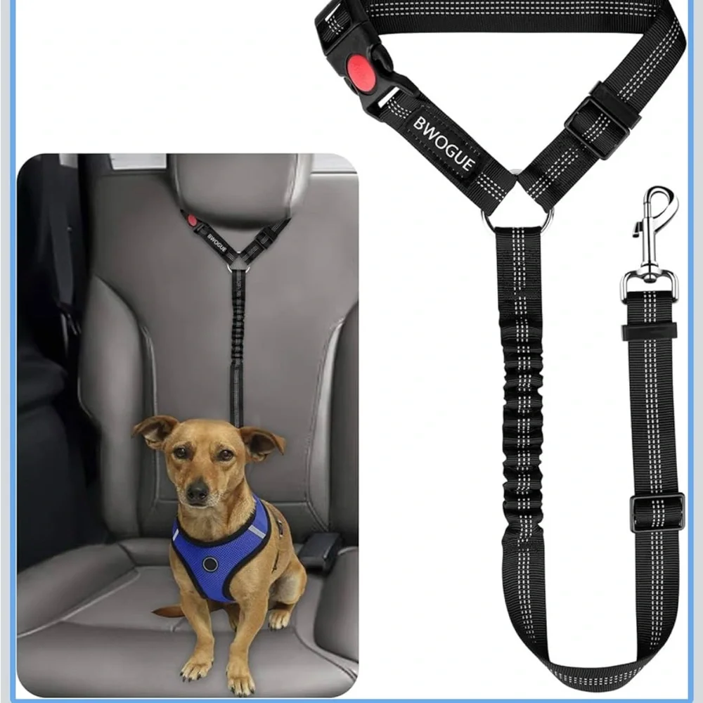Restraint Adjustable Safety Leads Vehicle Seatbelt